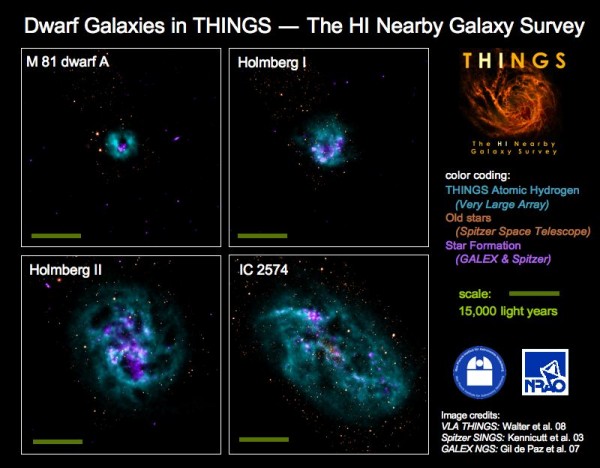 Dwarf galaxies in THINGS