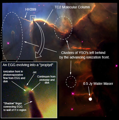 Hubble Space Telescope WFPC2 image of a field in the Trifid Nebula.