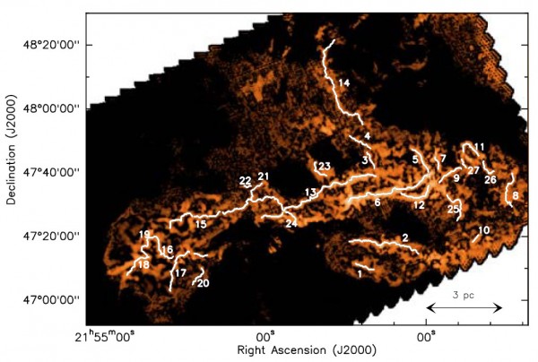 A network of 27 star forming filaments derived from Herschel observations of the IC 5146 molecular cloud.