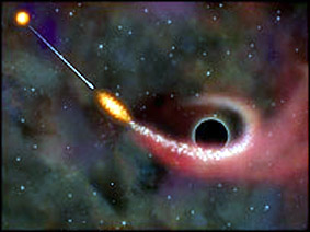 Tidal force of a black hole