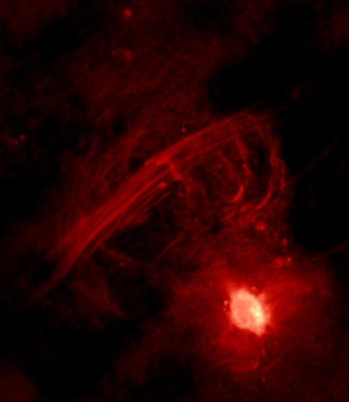 Galactic centre radio arc.