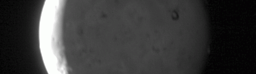 The plume from Io's Tvashtar "volcano"