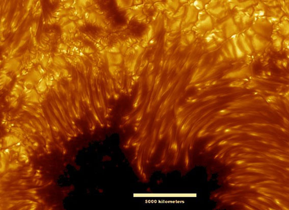 Close-up on a sunspot